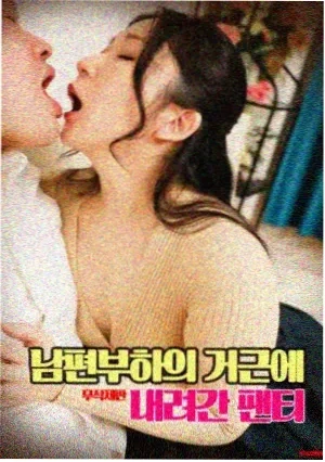 晓组织秘话